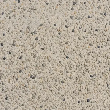 Seabird, pale, warm