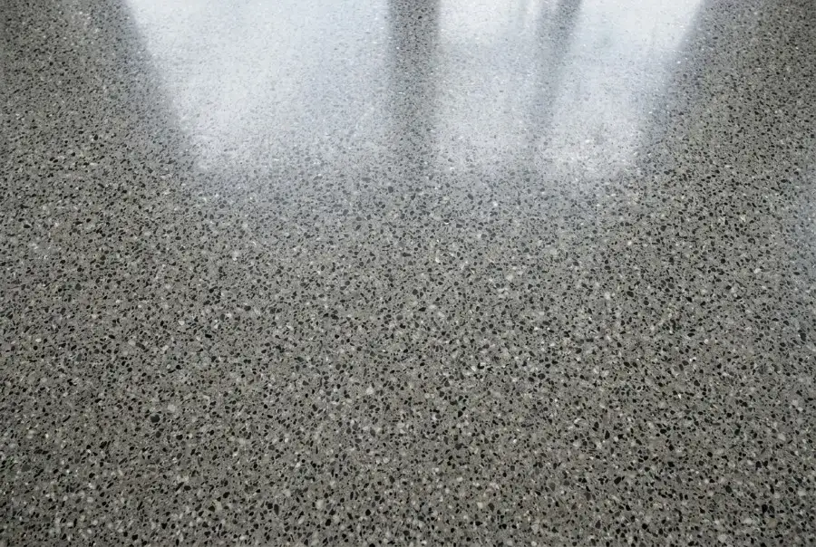 Salt-and-pepper polished concrete, close up